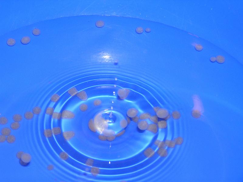 137_2007-11-30 Gourmetmenü.JPG